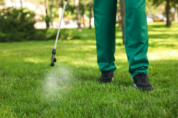 Best Affordable Pest Control Services  in Terrell Hills, TX