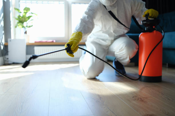 Professional Pest Control in Terrell Hills, TX