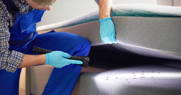Reliable Terrell Hills, TX Pest Control Solutions