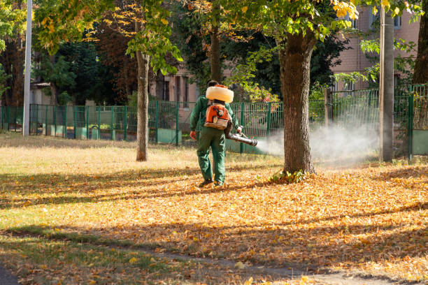 Best Best Pest Control Companies  in Terrell Hills, TX