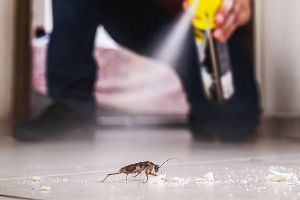 Best Best Pest Control Companies  in Terrell Hills, TX